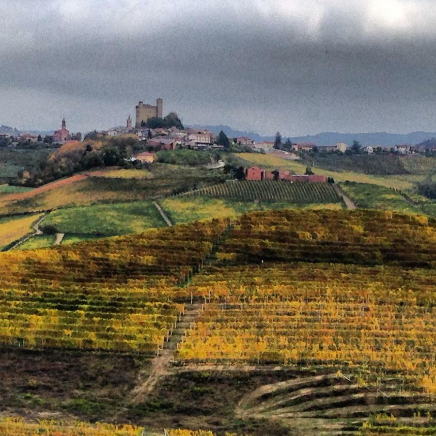 Cascina Maina Villa Diano dʼAlba Buitenkant foto