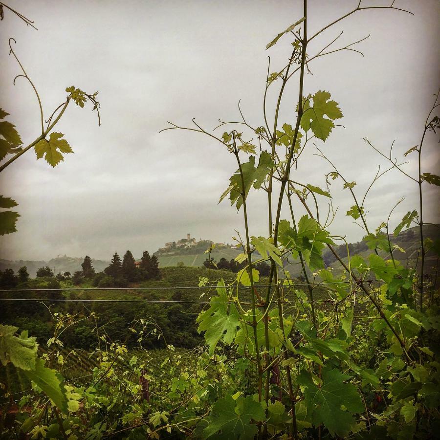 Cascina Maina Villa Diano dʼAlba Buitenkant foto
